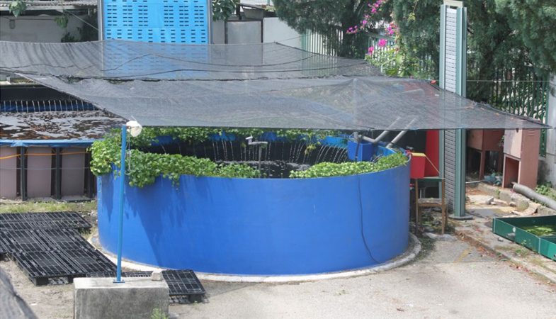 business-area